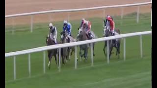 Abiyah Athbah finishes 6th in the President Of The UAE Cup (UK Arabian Derby) Group 1 PA at Doncaste
