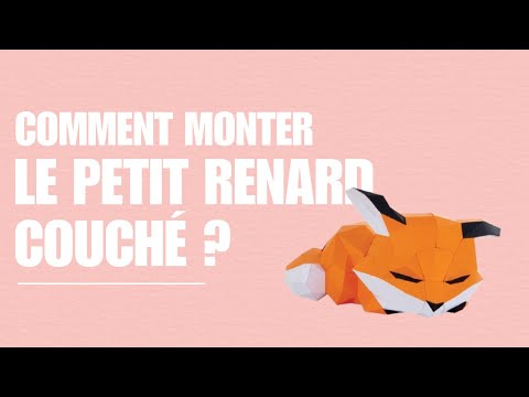 Petit renard couché - vidéo de présentation