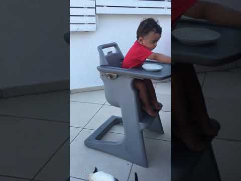 Cute Rasta & Cats 😅