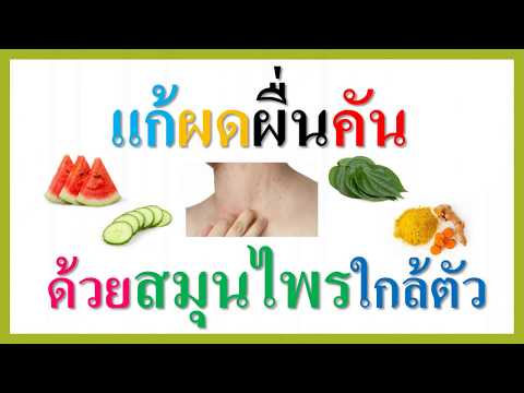 เยอรมันเชพเพิร์กลาก โรคสะเก็ดเงินบนภาพมือ