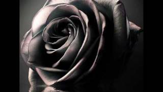 The Rose- LeAnN  RiMeS