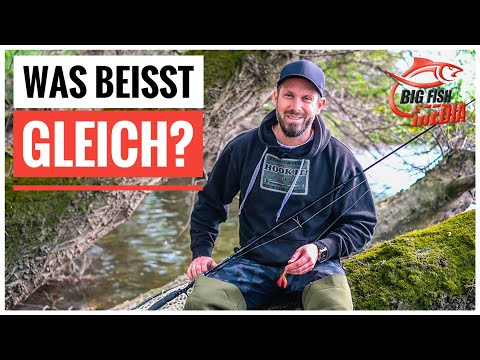Was war das denn??? - Christian drillt den Endgegner - Spinnfischen am See