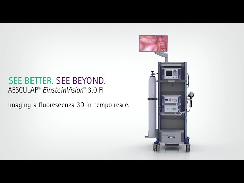 Einstein Vision 3.0 FI