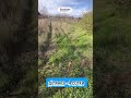 Видео превью