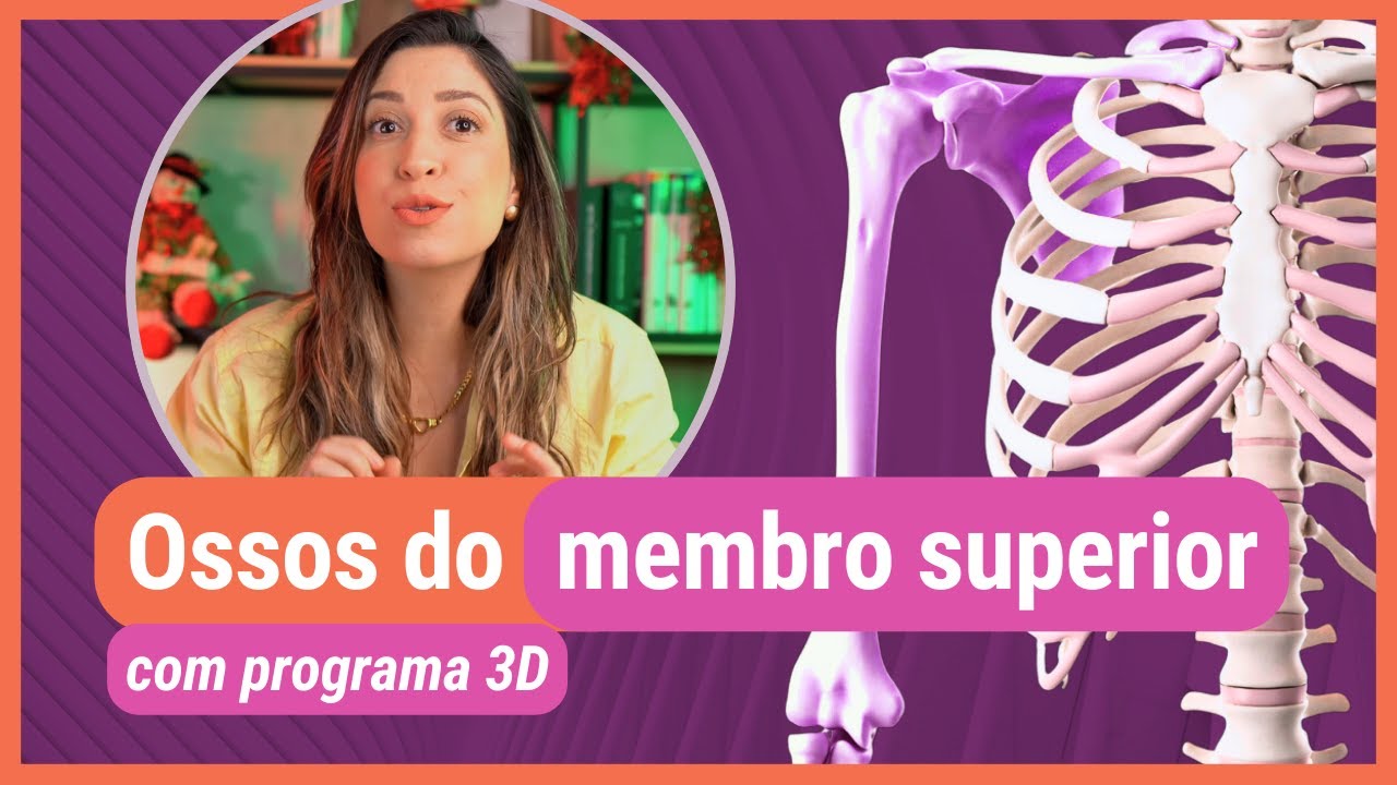 OSSOS DO MEMBRO SUPERIOR! Com programa 3D
