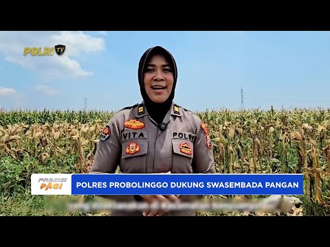 POLRES PROBOLINGGO LAKSANAKAN PANEN JAGUNG SERENTAK DUKUNG SWASEMBADA PANGAN NASIONAL