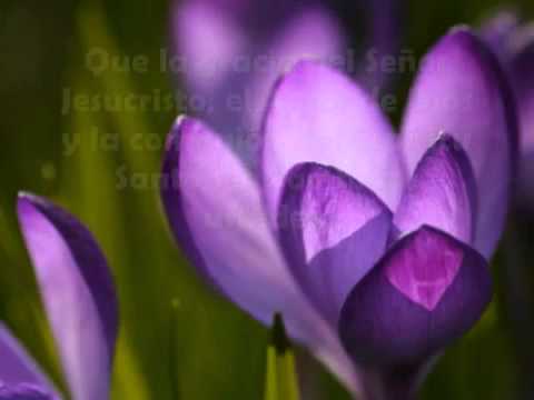 Tu amor no tiene fin - Lilly Goodman