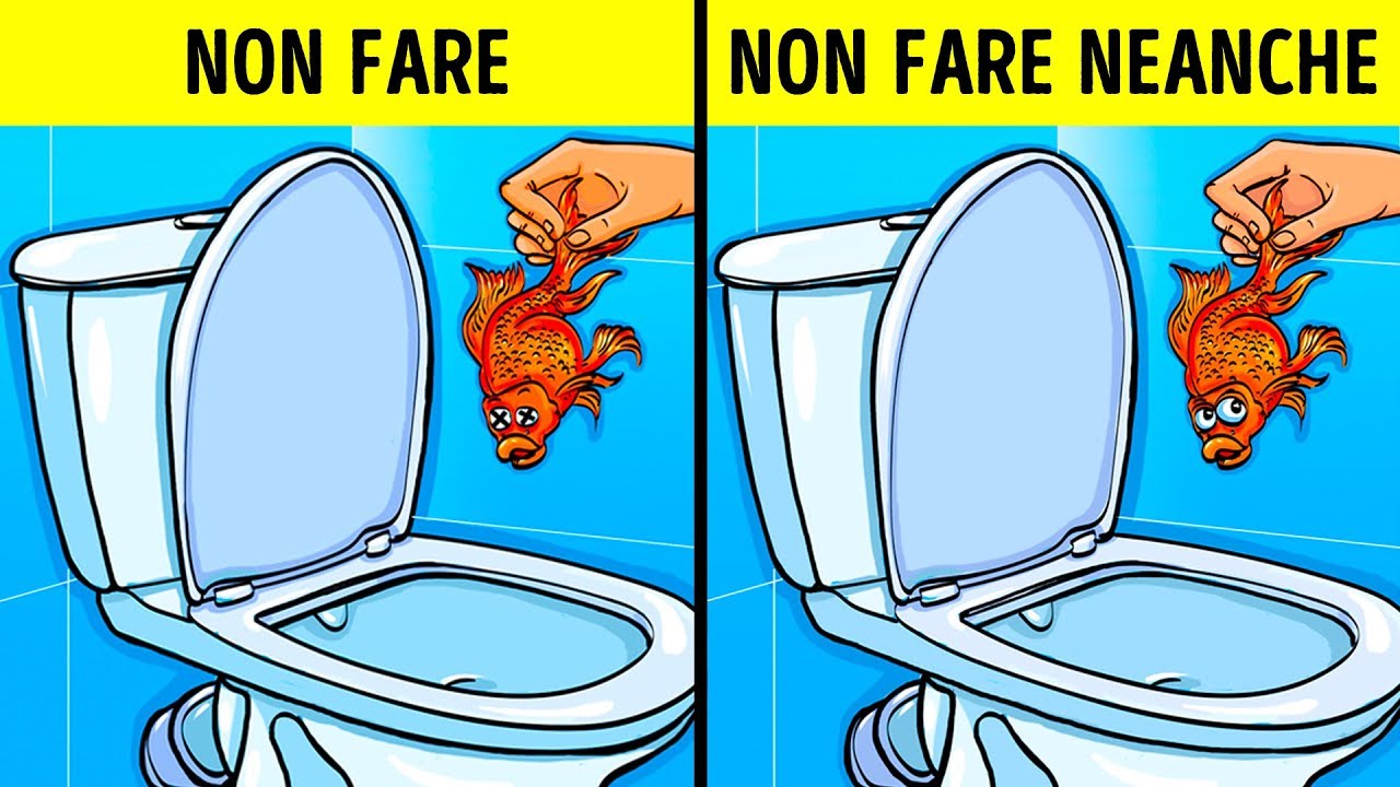 12 Cose da Non Gettare Nel Water