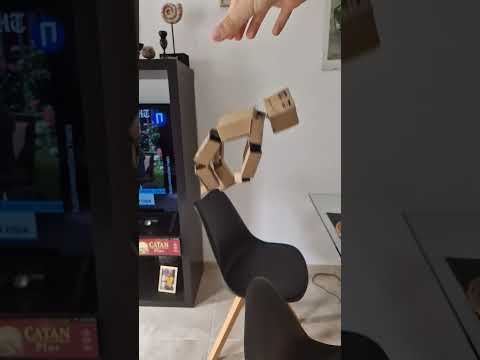 Cardboard Ragdoll #roblox #memes #ragdoll #tutorial