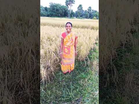 Nes kalom#tranding saharay#viral short video