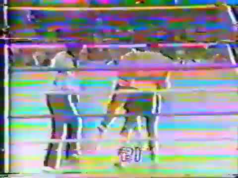 Carlos Palomino vs. Ryu Sorimachi [WBC World Welterweight Title]