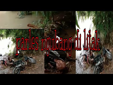 parles-tebalik-jak-motor