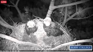 Berry College  Eagles - The Early Birds - 09/16/2015