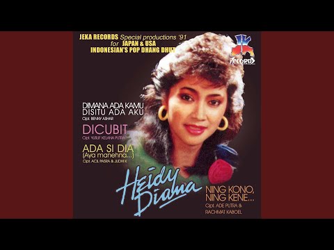 Dimana Ada Kamu, Disitu Ada Aku Remix