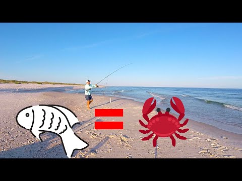 Beach Fishing Catch and Cook (Tastes Like Crab)