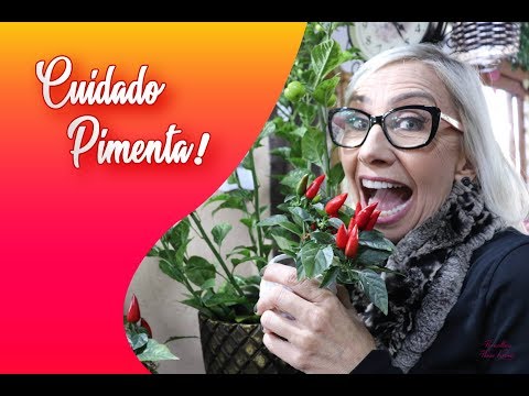 , title : 'Como plantar e cuidar da pimenta em vaso #floricultura #pimentas #7ervas #paisagismo'