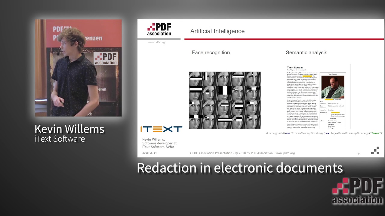 Redaction in electronic documents - Kevin Willems