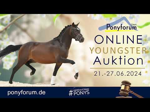 Manila Stute 2021 v. Diamond First  / Download