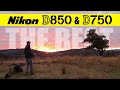 Nikon D850 & D750 | BEST Landscape Photography Session | Part 1
