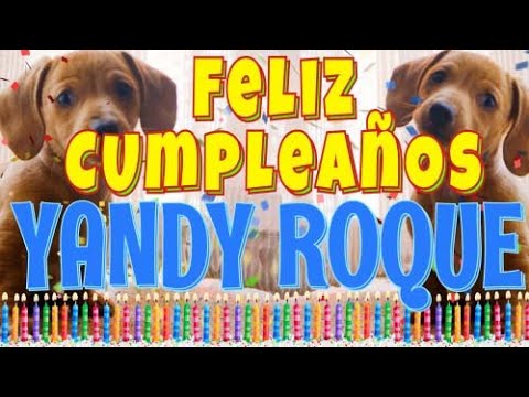 ¡Feliz Cumpleaños Yandy Roque! (Perros hablando gracioso) ¡Muchas Felicidades!