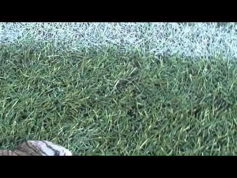 FC Oposy - Bukaty Diablos cz. 2