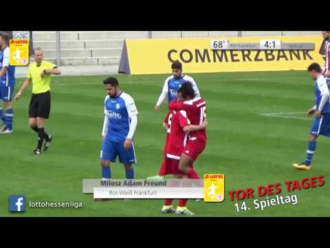 Tor des Tages 14. Spieltag LOTTO Hessenliga