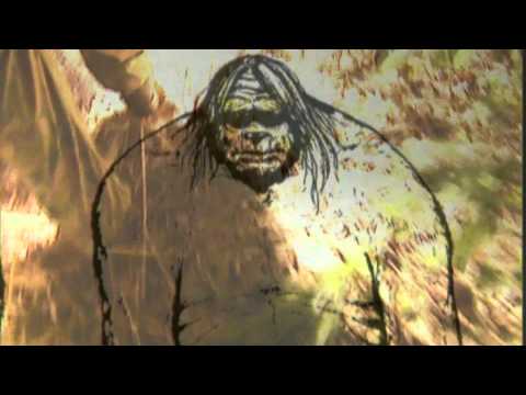 Animal Heroes, Yowie and Telepathic Parrot