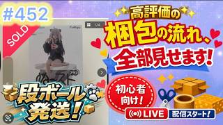No451【梱包ライブ】段ボール発送！ ホロライブ ぬーどるストッパーフィギュア プラス 獅白ぼたん