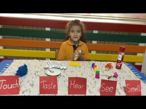 Five senses activities, kids conversation about 5 senses, touch, taste, hear, see and smell