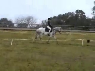 Larkspur Lass STAR PONY!!!