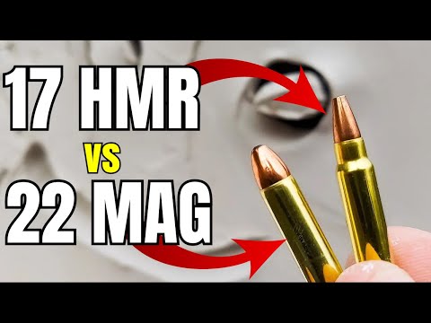 17HMR vs 22MAG: Never Would've Guessed