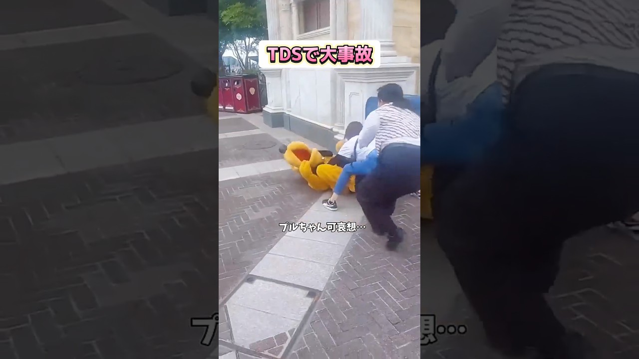 【大炎上】ディズニーシーで中国人がまたやらかす...【衝撃】