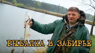 Рыбалка фиш парке