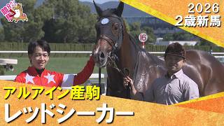 レッドシーカーが逃げ切りでデビュー勝ち！松山騎手「4コーナーでも余裕あった」2026年10月3日(土)２歳新馬　京都芝1600m　実況：川島壮雄【カンテレ公式】