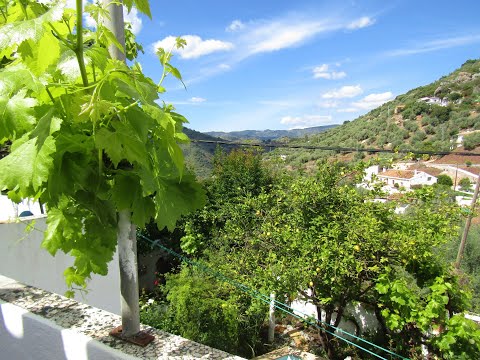 AX1066 - El Molinillo