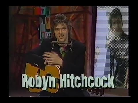 Robyn Hitchcock is guest host & performs live on MTV 120 Minutes (1993.02.14)