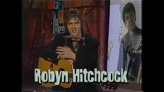 Robyn Hitchcock is guest host &amp; performs live on MTV 120 Minutes (1993.02.14)