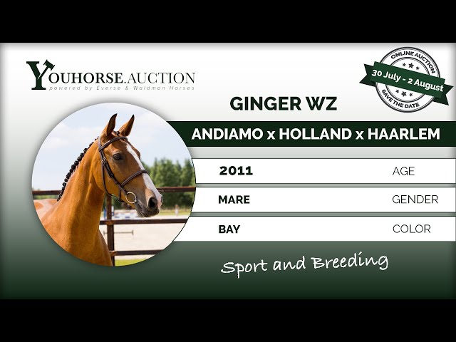 Ginger WZ