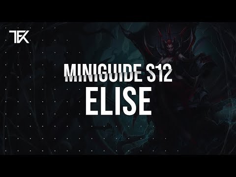 Elise Miniguide S12 german | TFK