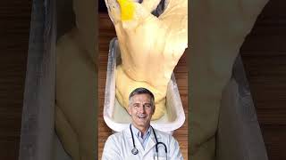 😱 PÃO CASEIRO DE LIQUIDIFICADOR — FÁCIL E ECONÔMICO! #shorts