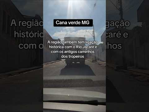 Cana verde Minas Gerais