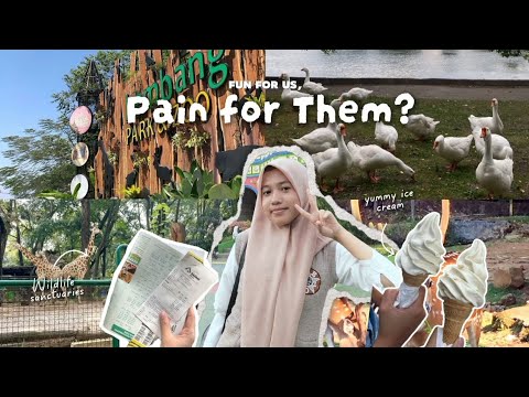 argumentative text presentation abt "Should animals be banned from Entertainment" 🎪🚫 @missirani