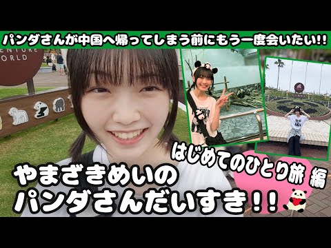 やまざきめいのパンダさんだいすき!! ～はじめてのひとり旅 編～
