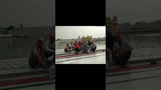 preview picture of video 'Amirtsar golden temple'