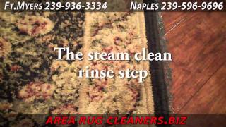 preview picture of video 'Wool Area Rug Cleaning Fort Myers'