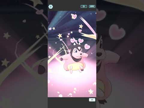 ARRIVA IL TEAM SKULL 🐉