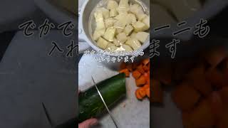 大好きなおかずのひとつ！ごはんが進みます😊#料理 #簡単レシピ #ひき肉じゃが