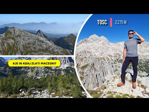 TOSC, zakaj ni bolj obiskan!? Kje in Kdaj ZLATI MACESNI. |Hike in Triglav National Park|