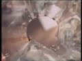 Coca Cola NZ Advert 1994
