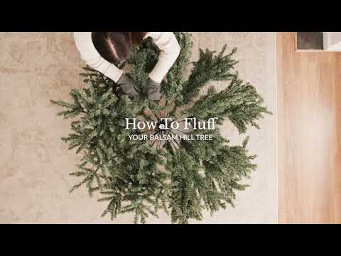 How to Fluff Your Balsam Hill® Tree